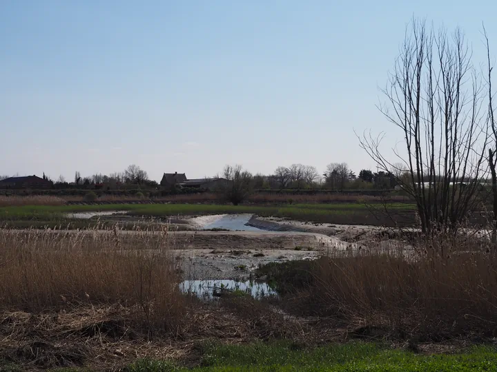 Kalkense Meersen (België)